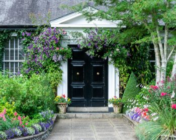 Tipy na skrášlenie terasy a okrasnej záhrady